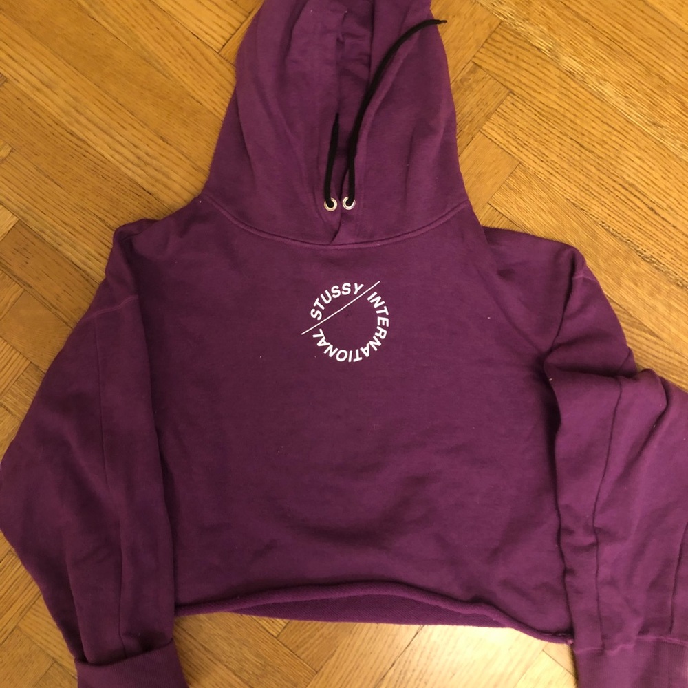 Stussy international cropped logo hoodie